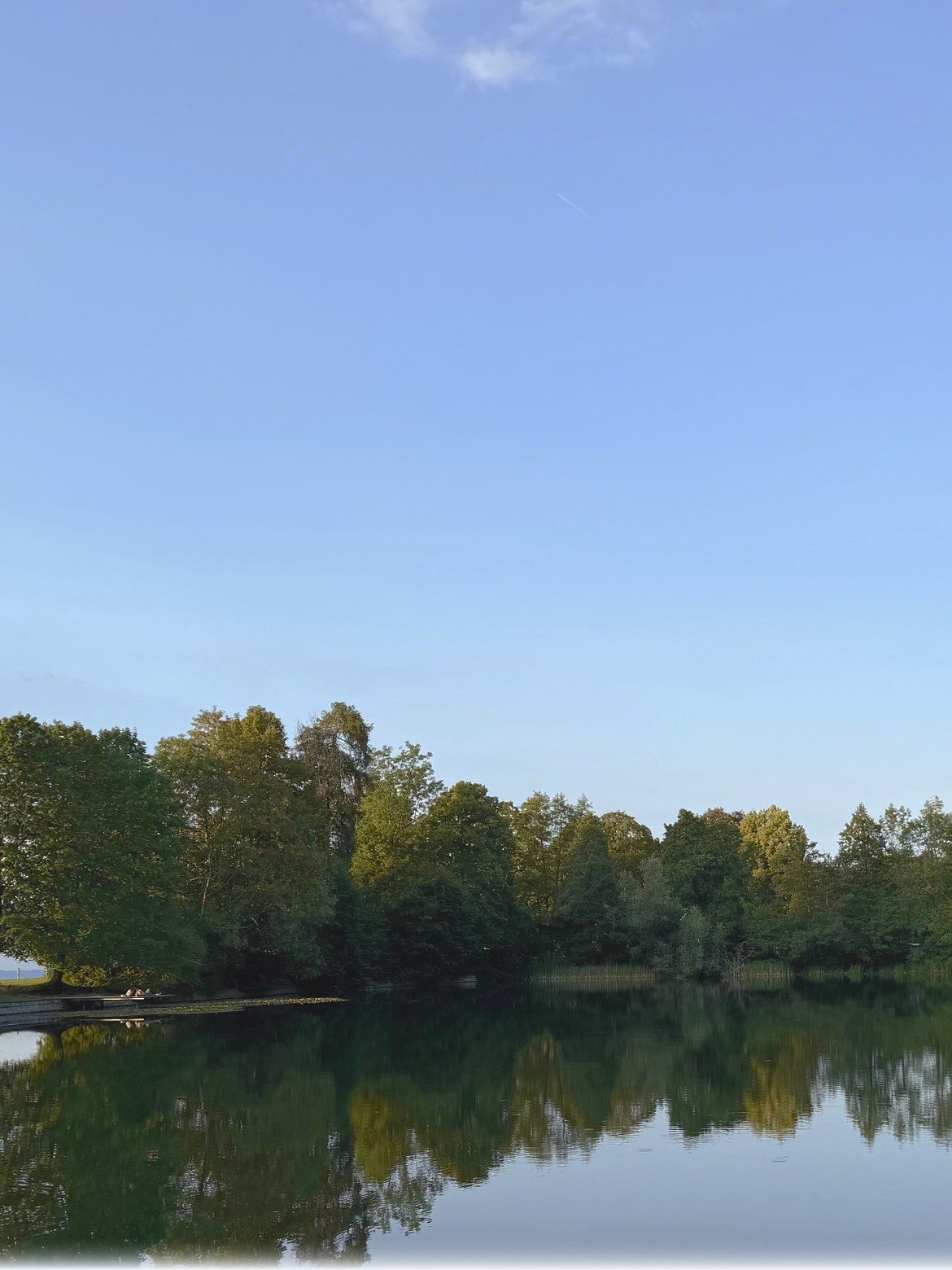 Abendlicht über einem stillen Weiher bei St. Gallen, Bäume spiegeln sich im Wasser